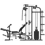 Πολυόργανο Pegasus MF10 All‑in‑One Trainer με Πάγκο