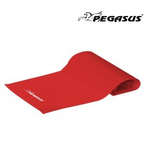 Λάστιχο Ενδυνάμωσης Κορδέλα Pegasus® Light Β 6308-L