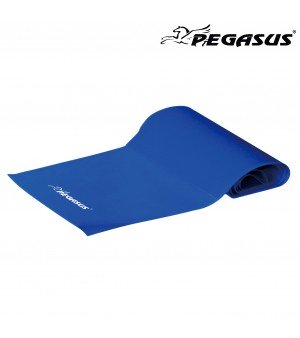 Λάστιχο Ενδυνάμωσης Κορδέλα Pegasus® Heavy Β 6308-H