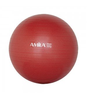 Μπάλα γυμναστικής Amila 55cm 95828