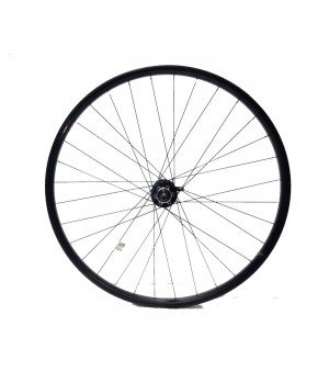 Οπίσθιος Τροχός Ποδηλάτου Gipiemme Nisi T2-24L 28-29 Shimano Disc