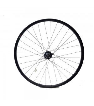 Οπίσθιος Τροχός Ποδηλάτου Gipiemme Nisi T2-24L 29 Freewheel Disc