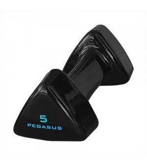 Τρίγωνος Αλτήρας Vinyl 5kg Pegasus® PG-1005 393600505