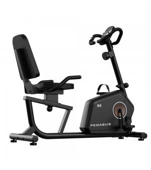 Καθιστό Ποδήλατο Γυμναστικής Pegasus R5 341210185