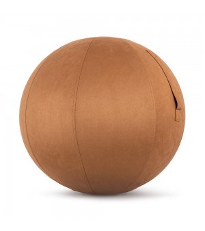 Κάλυμμα Μπάλας Γυμναστικής 65cm Καφέ Amila 96791