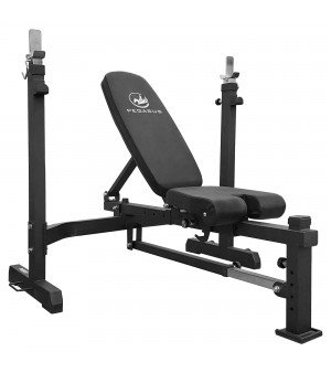 Ρυθμιζόμενος Πάγκος με Ορθοστάτες Pegasus® PG-5101